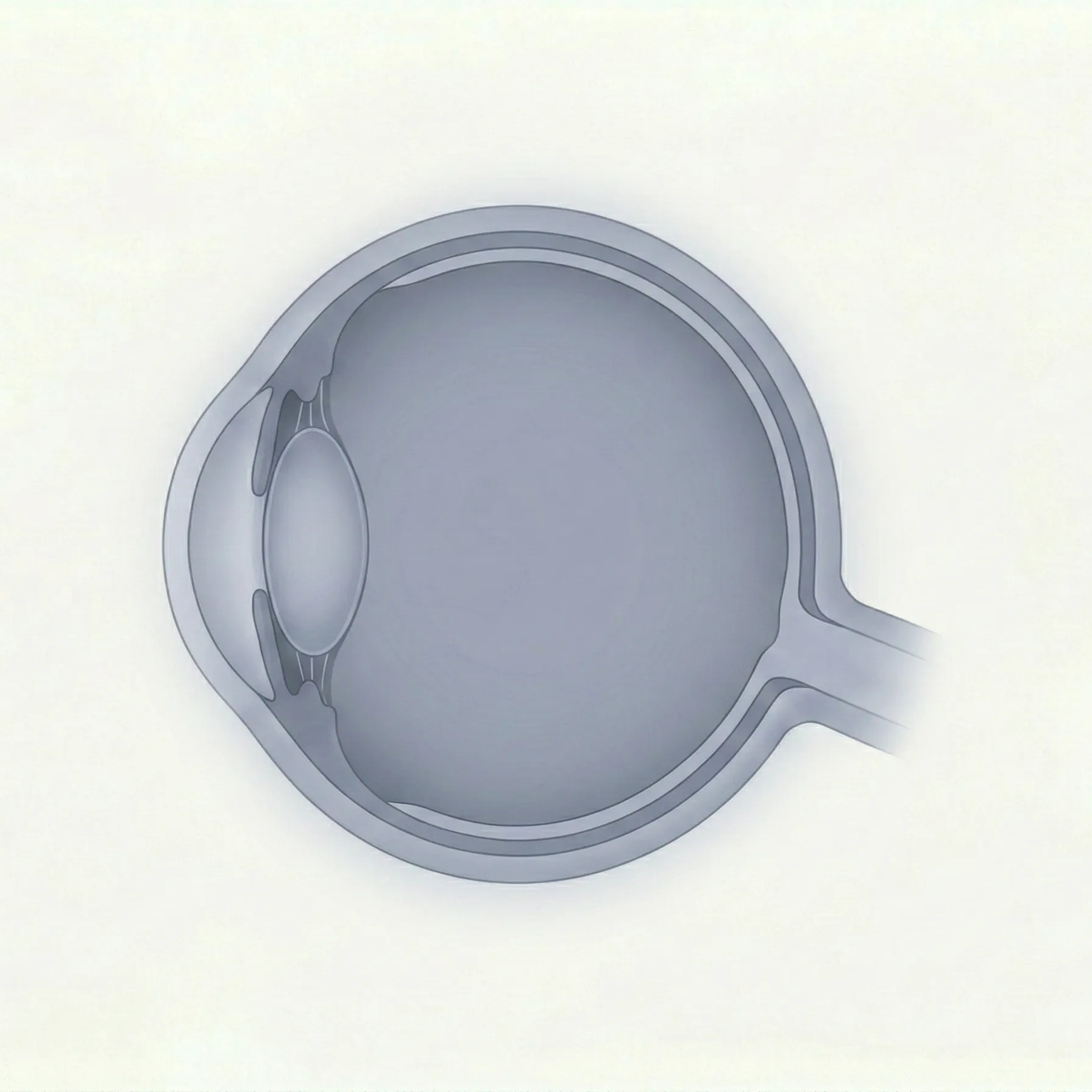 その他の参考画像