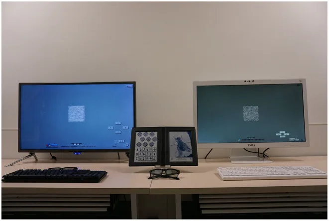 Titmusステレオテストの図版冊子（ハエ・動物・円）と偏光眼鏡を、研究用の偏光式ディスプレイと眼鏡不要の立体視ディスプレイの間に並べた写真